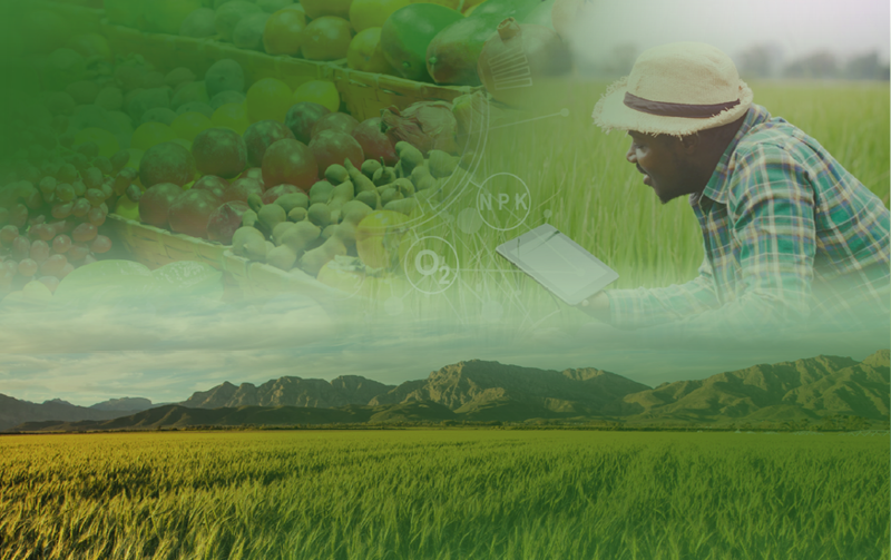 Examining contemporary challenges in the agriculture sector in the context of WTO negotiations