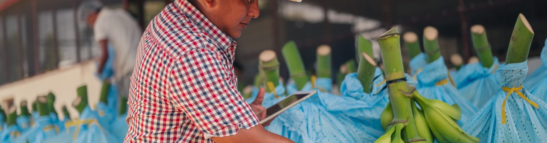 Identifying guidelines for the design of conditional credit programs to promote sustainable agricultural practices in Latin America